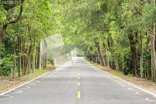Image of road at forest