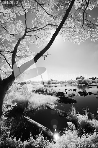 Image of IR landscape