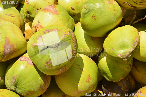 Image of Coconuts