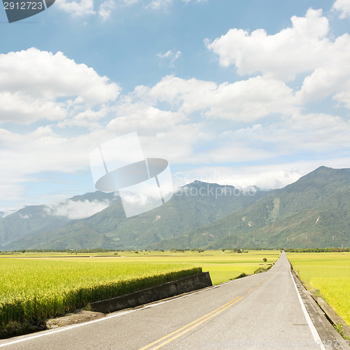 Image of Road in rural