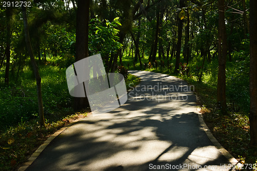 Image of Taitung Forest Park