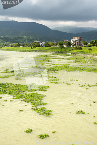 Image of Contaminated overgrown river