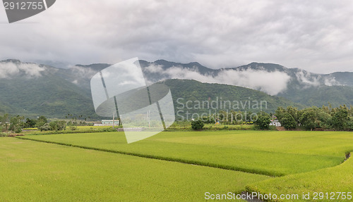 Image of Panoramic rural scenery