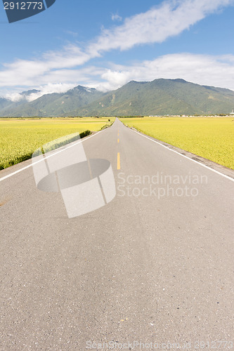 Image of Road in rural