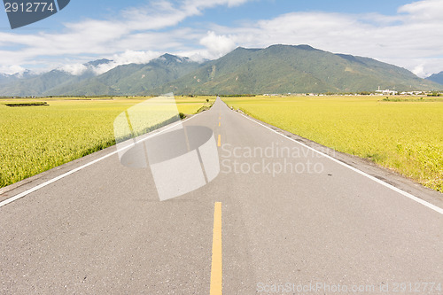 Image of Road in rural
