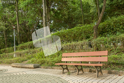 Image of Bench in the park