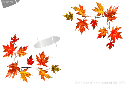 Image of Autumn frame