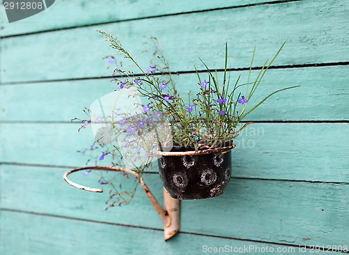 Image of flower pot with flowers