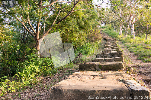 Image of Forest pathway with stairs