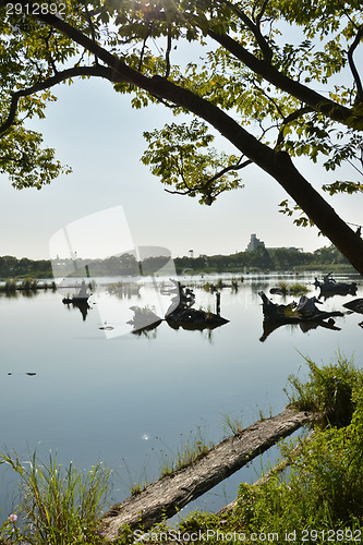 Image of Lake with wood