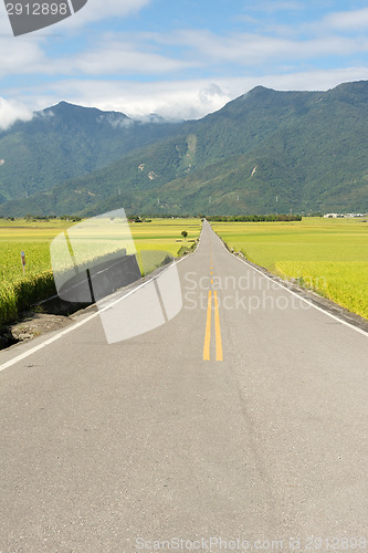 Image of Road in rural