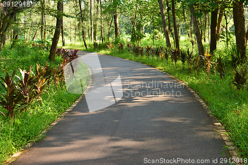 Image of Taitung Forest Park