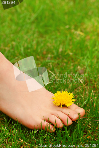 Image of Barefoot