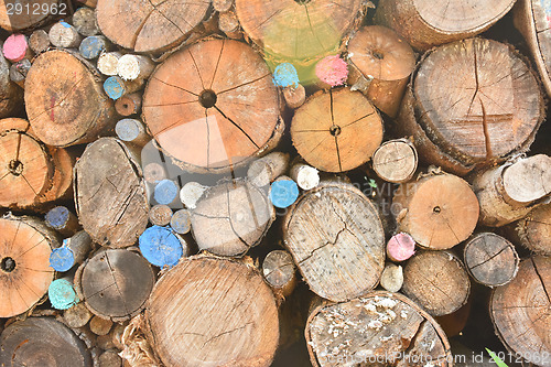 Image of Pile of wood logs
