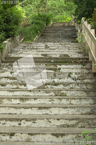 Image of Beautiful stairway in the park