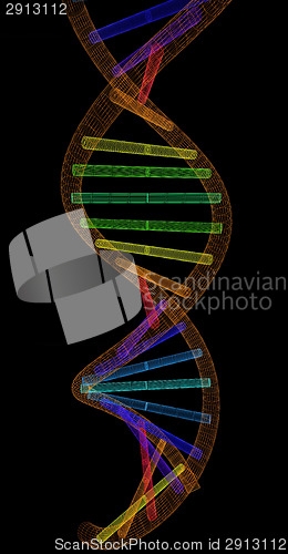 Image of DNA structure model