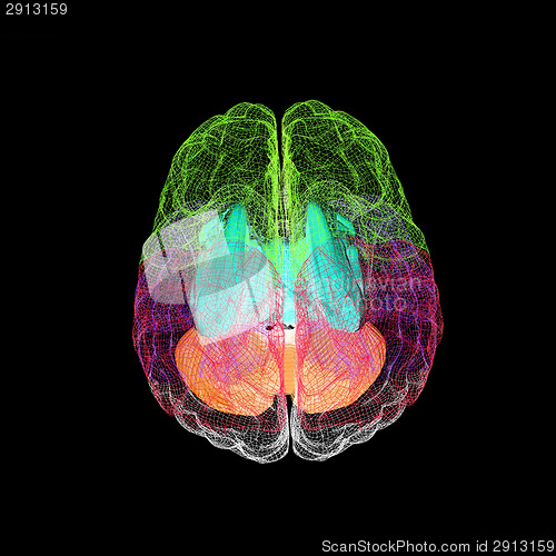 Image of Creative concept of the human brain