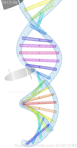 Image of DNA structure model