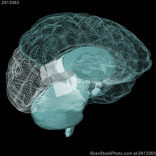 Image of Creative concept of the human brain