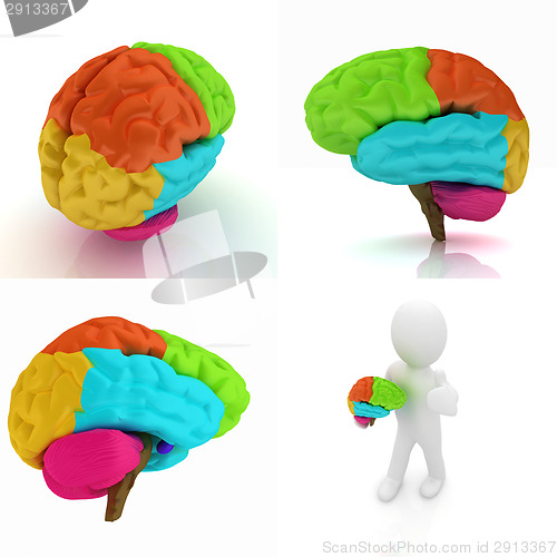 Image of Colorfull human brain