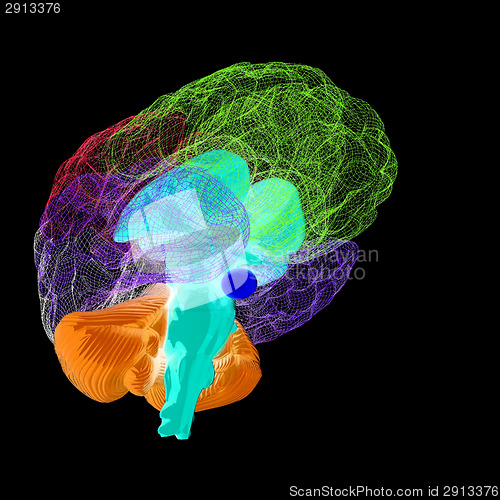 Image of Creative concept of the human brain