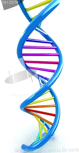 Image of DNA structure model