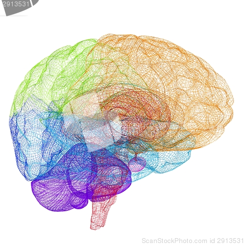 Image of Creative concept of the human brain