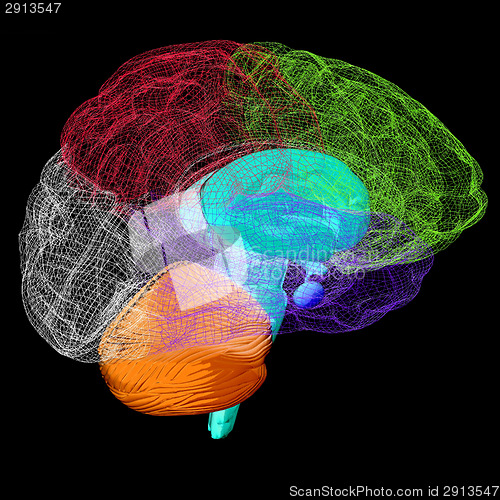 Image of Creative concept of the human brain