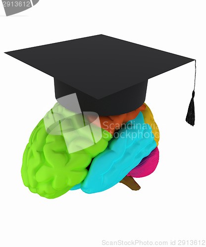 Image of graduation hat on brain