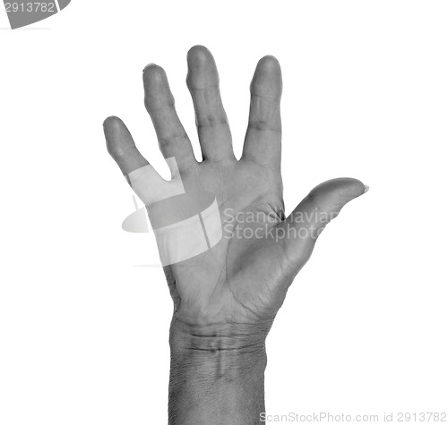 Image of Hand symbol, saying five, saying hello or saying stop