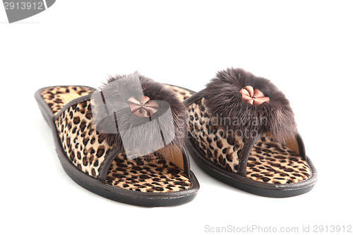 Image of slippers