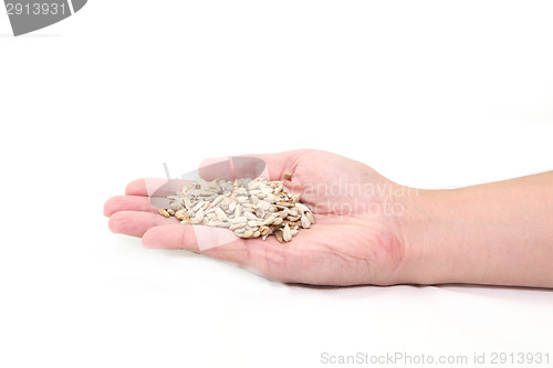 Image of sunflower seeds on hand