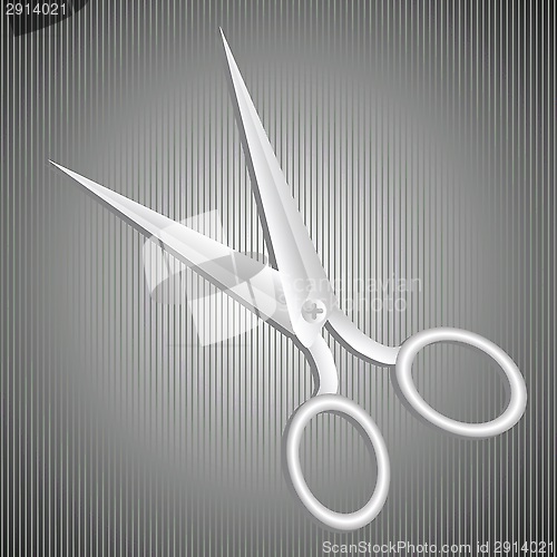 Image of metal scissors