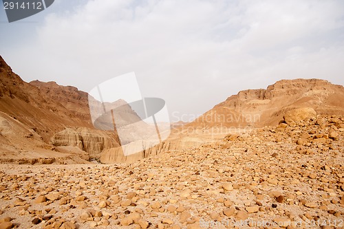 Image of Stone desert in Israel