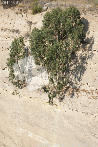 Image of Trees on Corinth Canal in Greece