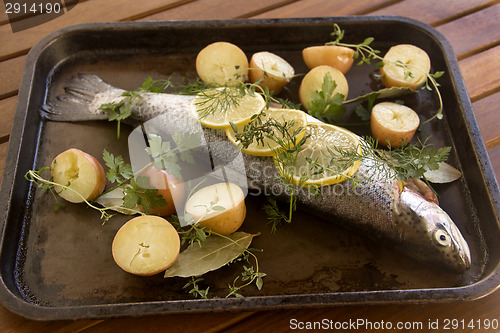 Image of Raw Vegetables And Trout