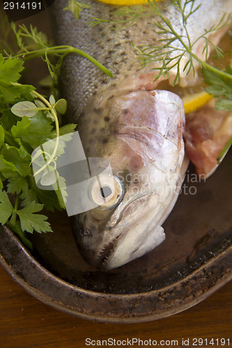 Image of Raw Rainbow Trout