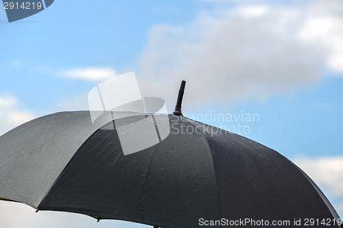 Image of Black umbrella