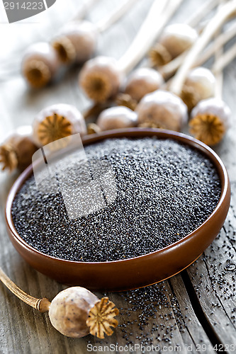 Image of Poppy seeds