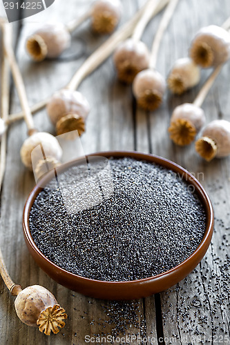 Image of Poppy seeds