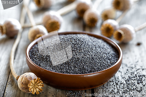 Image of Poppy seeds