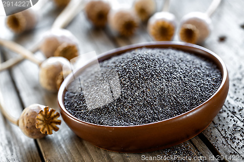 Image of Poppy seeds