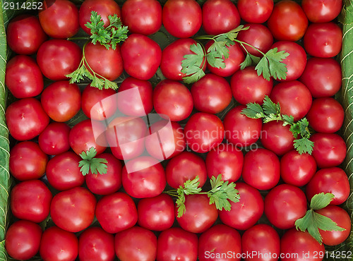 Image of Ripe tomatoes of bright red color of the small size.