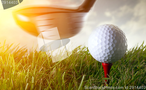 Image of Golf club and ball in grass