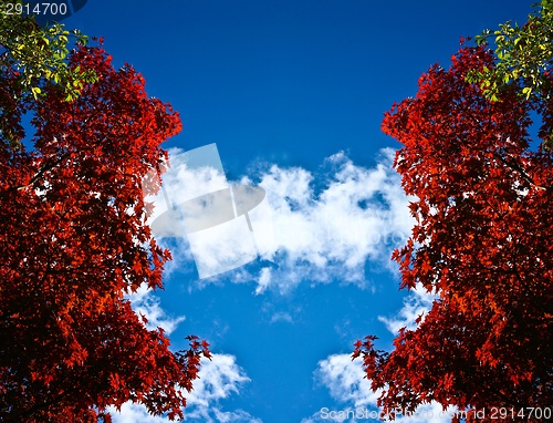 Image of Nice blue sky with clouds formation and trees