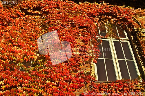Image of Detail of a wall of an old brick house