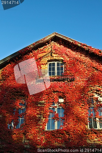 Image of Old brick house
