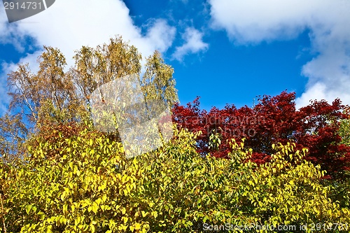 Image of Nice blue sky with clouds formation and trees