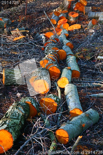 Image of Wood stack 