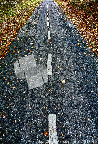 Image of Road for bikes in a forest